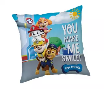 Vankik Paw Patrol 325